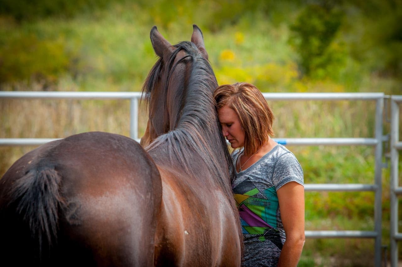 Client connecting with her equine co-coach.