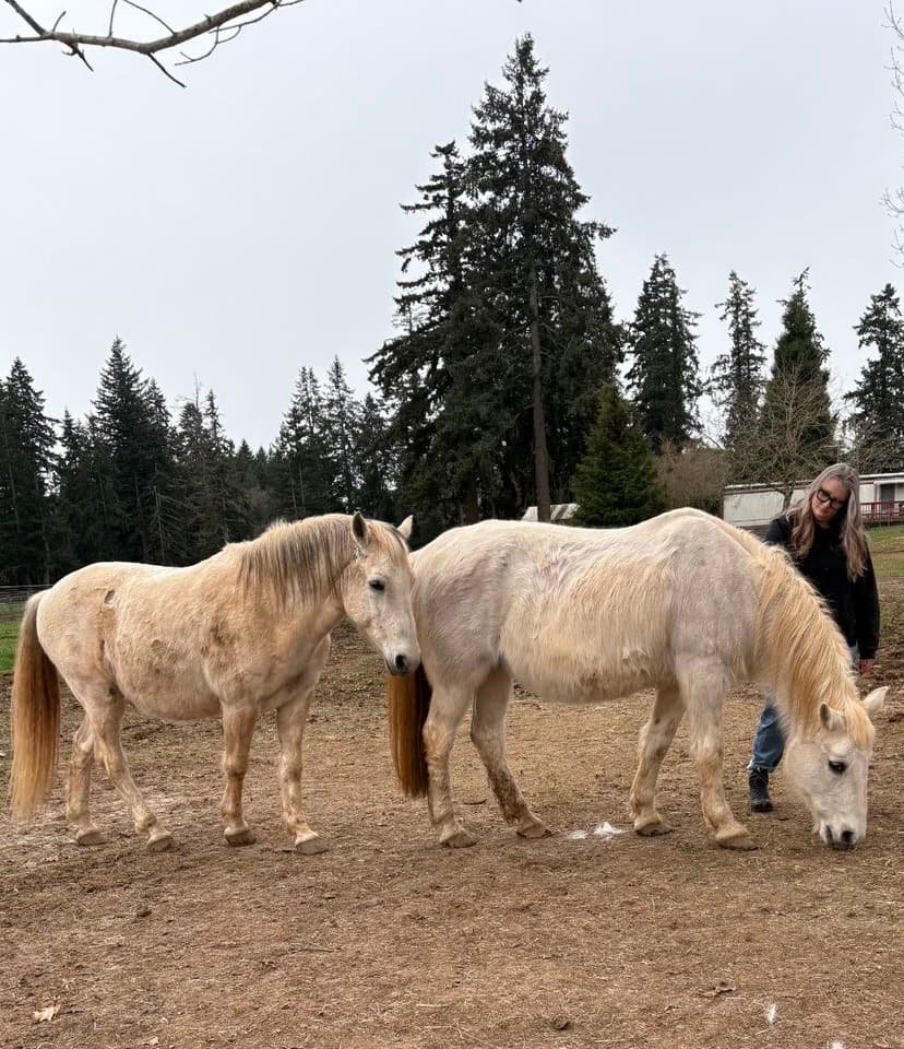 A client with 2 equine co-coaches.